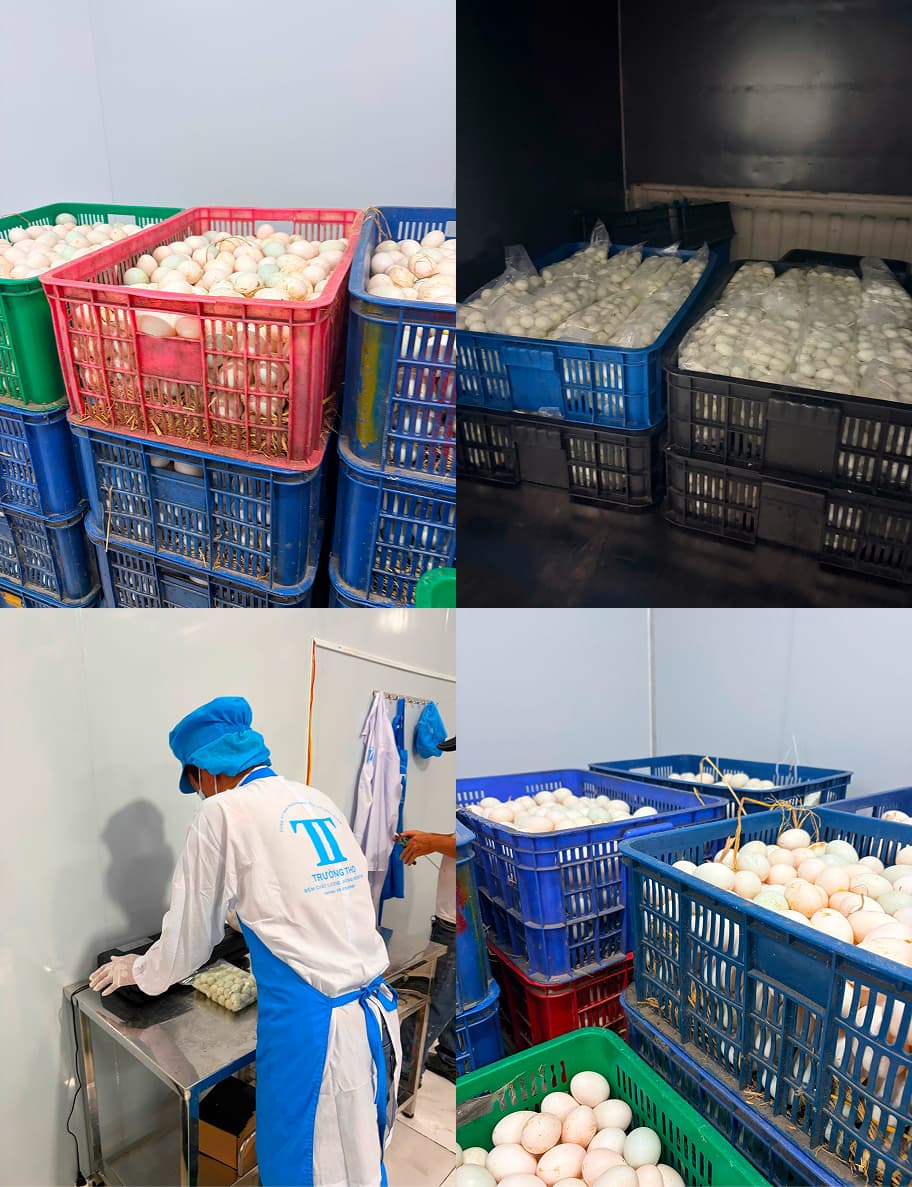 Nhà xưởng sản xuất