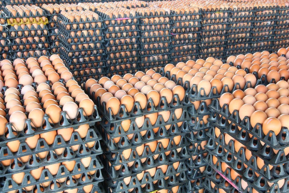 Hình ảnh nhà xưởng 2