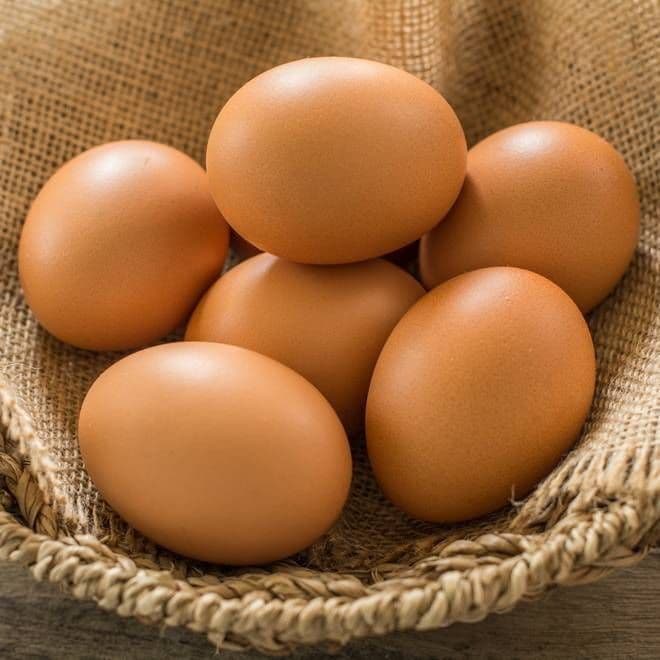 Trứng gà 22